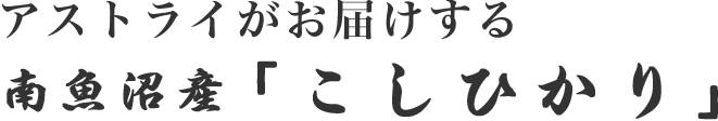 アストライがおとどけする　佐渡産「こしひかり」