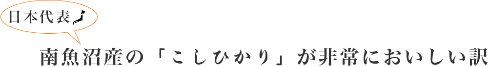 日本代表　南魚沼産「こしひかり」が非常においしい訳