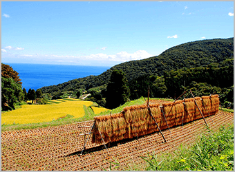 佐渡島　イメージ画像２