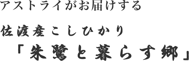 アストライがおとどけする　佐渡産こしひかり「朱鷺と暮らす郷」